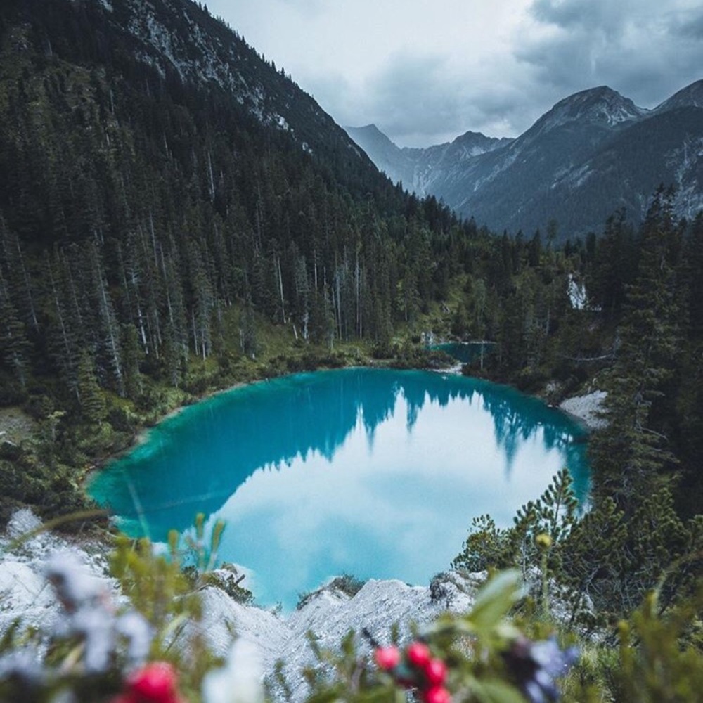 Meet your Posher, Rach